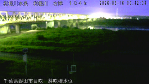 tonme2026061601_image