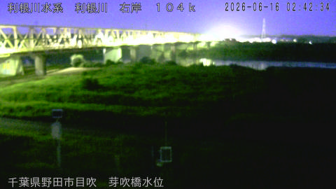 tonme2026061603_image