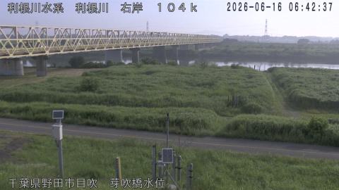 tonme2026061607_image
