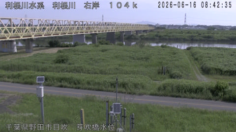 tonme2026061609_image