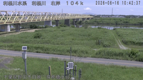 tonme2026061611_image
