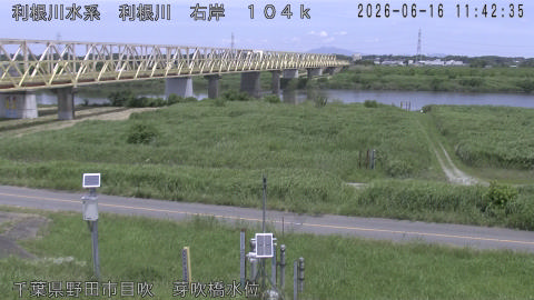 tonme2026061612_image