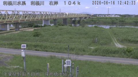 tonme2026061613_image