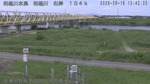 tonme2026061614_image