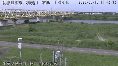 tonme2026061615_image