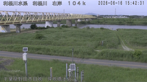 tonme2026061616_image