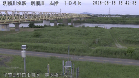 tonme2026061617_image