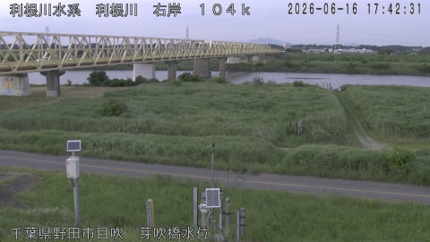 tonme2026061618_image