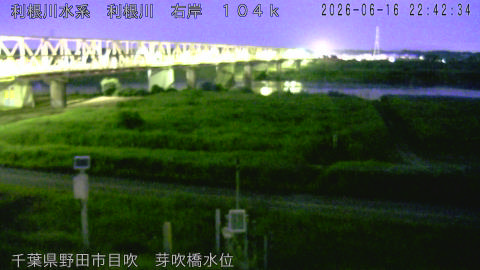 tonme2026061623_image