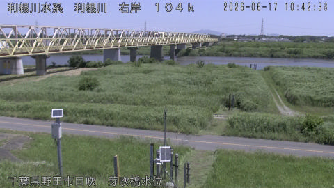 tonme2026061711_image
