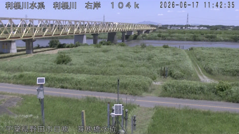 tonme2026061712_image