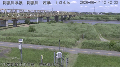 tonme2026061713_image