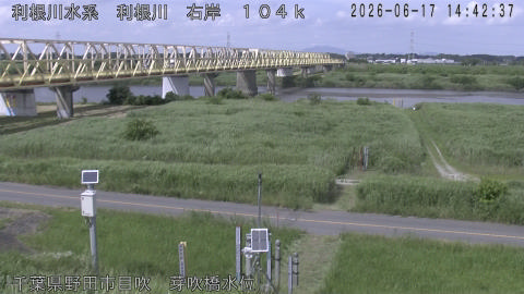 tonme2026061715_image