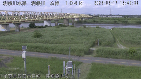 tonme2026061716_image