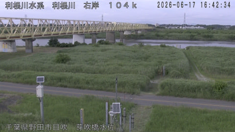 tonme2026061717_image
