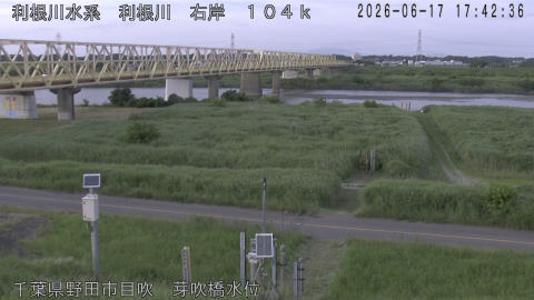 tonme2026061718_image