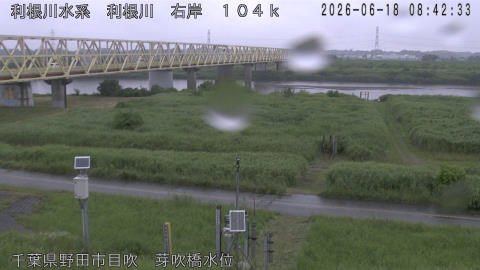 tonme2026061809_image