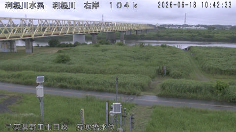 tonme2026061811_image