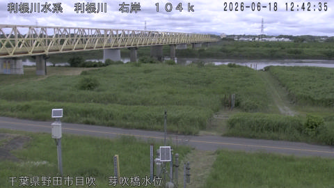 tonme2026061813_image