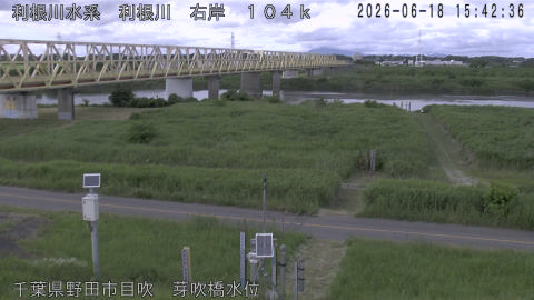 tonme2026061816_image