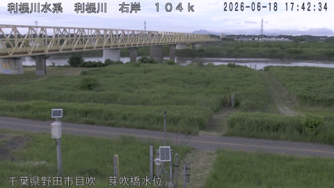 tonme2026061818_image