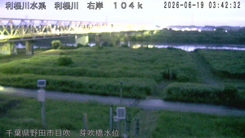 tonme2026061904_image
