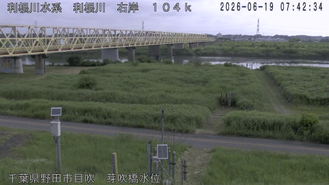 tonme2026061908_image