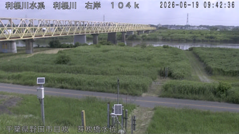 tonme2026061910_image