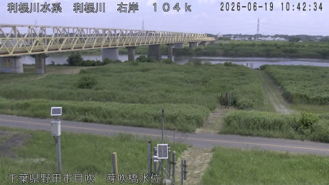 tonme2026061911_image