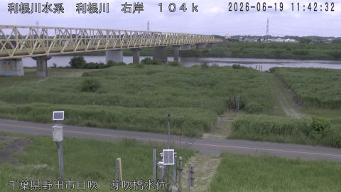 tonme2026061912_image