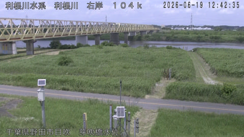 tonme2026061913_image