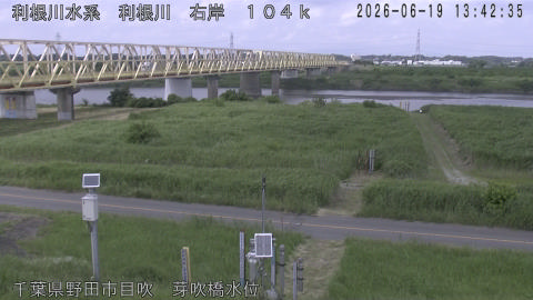 tonme2026061914_image