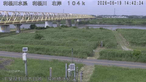tonme2026061915_image