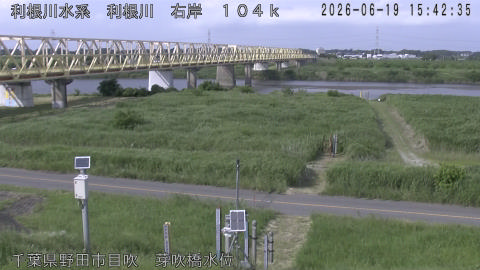 tonme2026061916_image