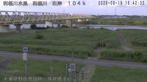 tonme2026061917_image