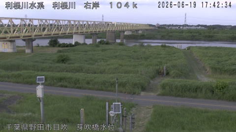 tonme2026061918_image