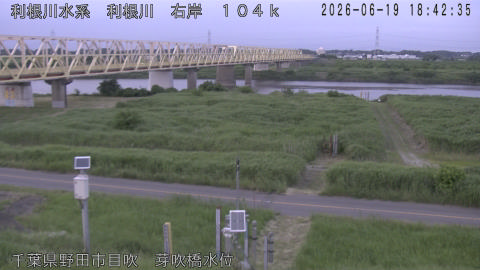 tonme2026061919_image