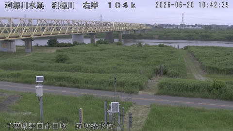 tonme2026062011_image