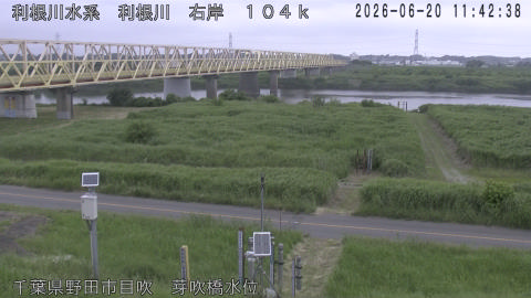 tonme2026062012_image