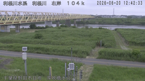 tonme2026062013_image