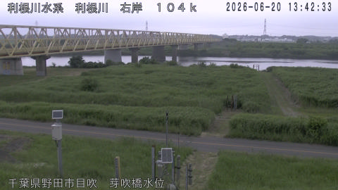 tonme2026062014_image