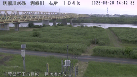 tonme2026062015_image