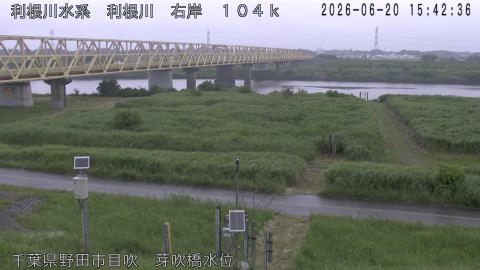 tonme2026062016_image