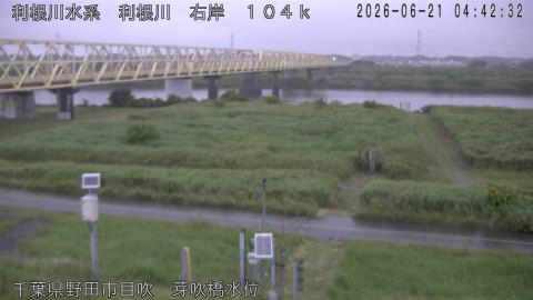 tonme2026062105_image