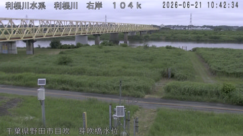tonme2026062111_image