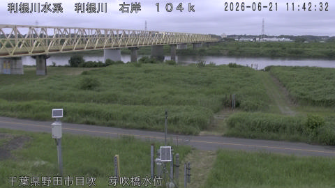 tonme2026062112_image