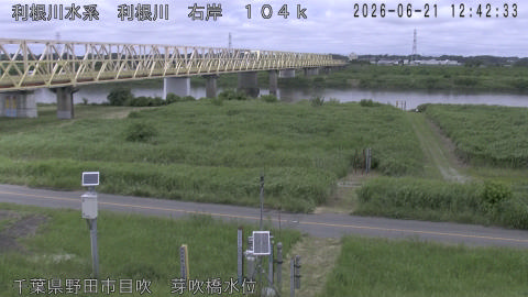 tonme2026062113_image