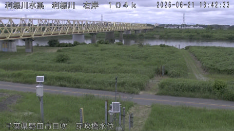 tonme2026062114_image