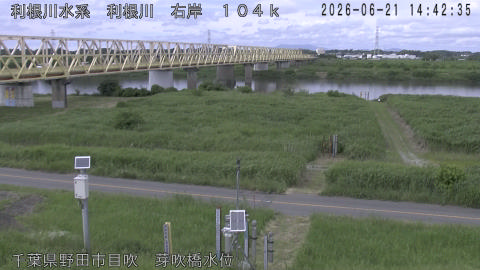 tonme2026062115_image