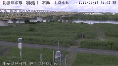 tonme2026062116_image